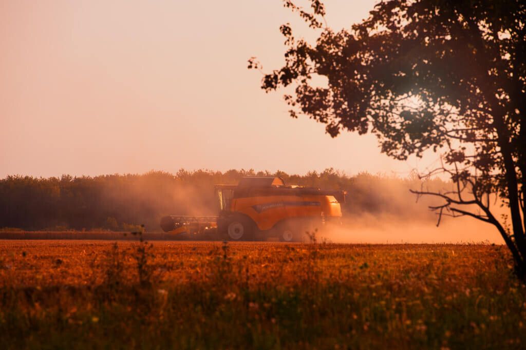 KREDYT INWESTYCYJNE, OBROTOWE, W RACHUNKU BIEŻĄCYM